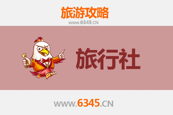 定西安定区旅行社全攻略：本地人推荐的靠谱选择与深度游指南